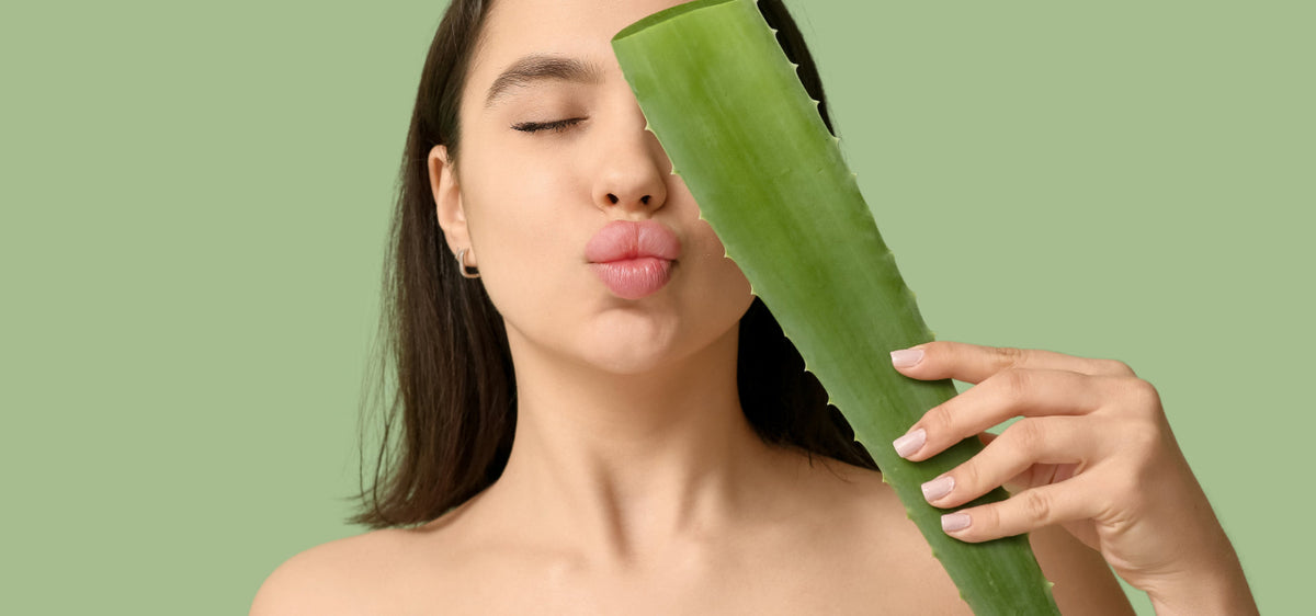 Aloe Line GmbH
