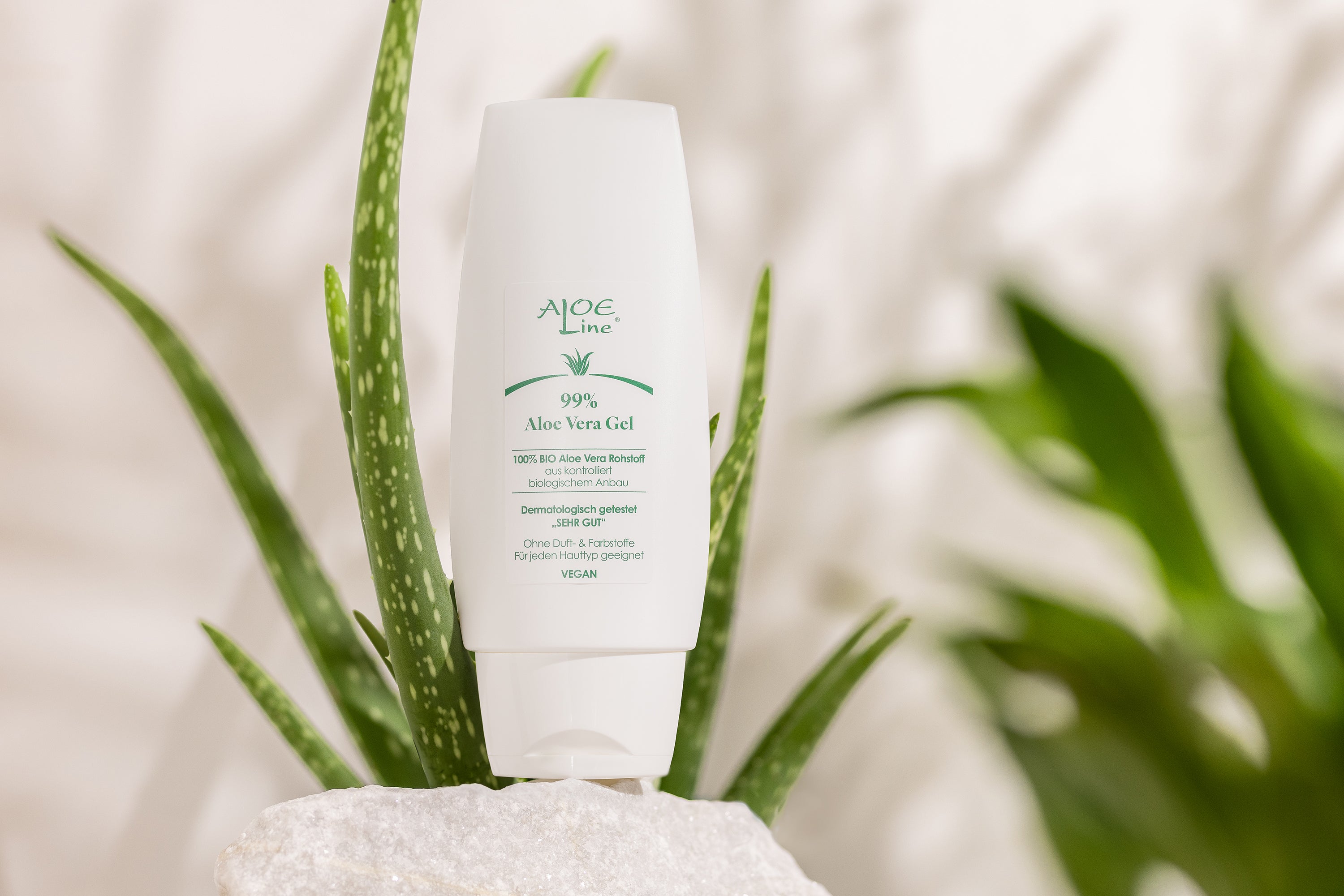 Aloe Vera Gel gegen Trockene Haut: Eine Pflegeroutine mit Wohlfühlfaktor